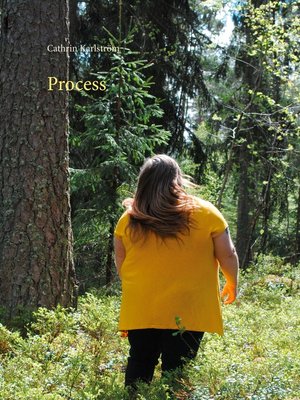 cover image of Process